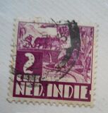 [Rice Field, type AI1]