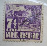 [Rice Field, type AI6]