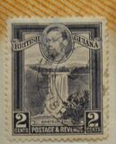 [Local Motives, סוג AY]