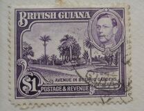 [Local Motives, סוג BG]