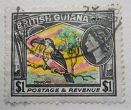 [Local Motives, tyyppi CF]