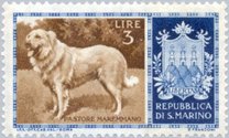 [Dog Breeds, Tipe IE]