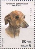 [Dogs, type APY]