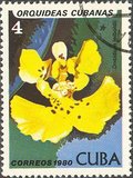 [Orchids, tip DAT]