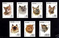 [Cats, Typ AB]