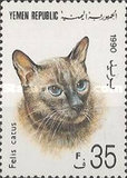 [Cats, Typ AD]