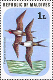 [Birds, Tip ZO]