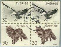 [Animals - Fluorescent Paper, veids HY]