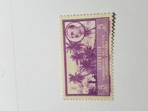[Local Motifs, type E3]