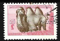 [Mongolian Animals, Вид CX]