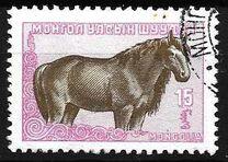 [Mongolian Animals, Вид CV]