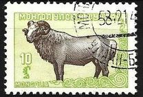[Mongolian Animals, Вид CU]