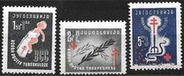 [The Fight Against Tuberculosis, Вид FO]