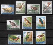 [Birds, Вид LG]