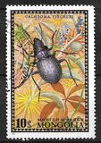 [Beetles, type XP]