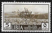 [Tripoli Fair, тип AB]