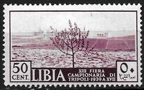 [Tripoli Fair, тип AB1]