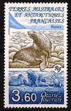 [Antarctic Fauna, Scrivi IW]