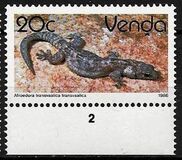 [Reptiles, тип EA]