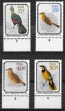 [Birds, type AAC]