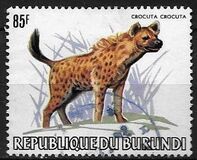 [African Animals, Tüüp AXG]