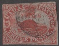 [Beaver, type D]
