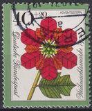 [Christmas Stamp, tyyppi WQ]