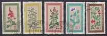 [Medicinal Plants, tegund OK]