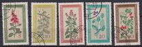 [Medicinal Plants, type OK]