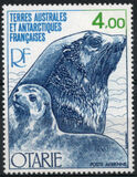 [Antarctic Fauna, type DI1]