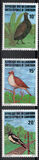 [Birds, ประเภท YC]