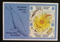 [Nature Conservation, Tip MF]