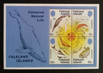 [Nature Conservation, Tip MF]