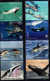 [Marine Life - Whales and Dolphins of the World - White Frame, type CBB]