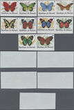 [Butterflies, 유형 AYI]