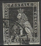 [Lion of Tuscany - Printed on Toned Paper, type A]