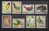 [Birds from the Nyungwe Forest, प्रकार AFY]