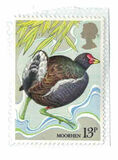 [The 100th Anniversary of the Protection of Birds, type UB]