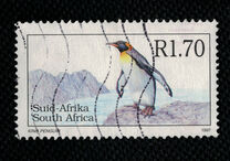 [Antarctic Fauna, type AKV]