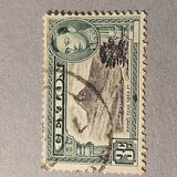 [King George VI - Local Motives, typ BN]
