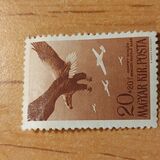 [Admiral Horthy's Aviation Foundation, type VI]