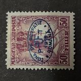 [Hungarian King Karl IV & Queen Zita Stamps of 1919 Overprinted, type N1]