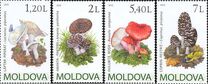 [Mushrooms, type XU]