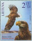[The Red Book of Lithuania. White-Tailed Sea Eagle, type ABC]