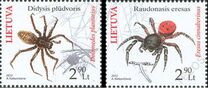 [Fauna - Spiders, Typ ABV]