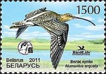 [Bird of the Year - Eurasian Curlew, type ADN]