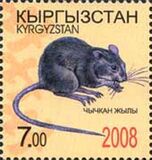 [Chinese New Year - Year of the Rat, típus QZ]