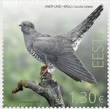 [Bird of the Year - The Common Cuckoo, type BHK]