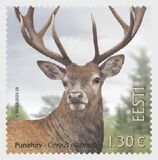 [Fauna - Red Deer, type BGT]