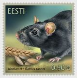 [Fauna - The Black Rat, type BDJ]